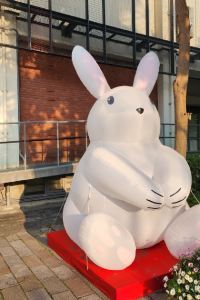 민짱짱 Yongin Metro 21 쿠폰