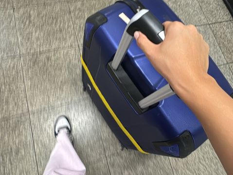 陸上豚