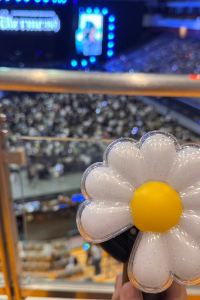 Lee, Long , GOGO回行旅優惠