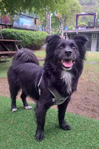 우주여신효찌 杜松奢華酒店優惠