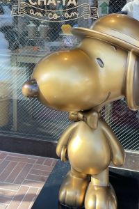 ぴーころ ホテルファイン神戸六甲北一番地店 クーポン