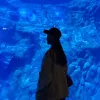 Avatar 3