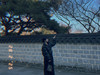 공다리