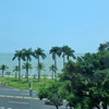 lam tsz