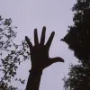 Avatar 1