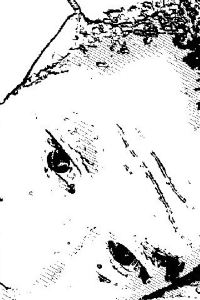 nudepia Grant Korancho 쿠폰