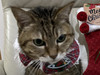 Annie10999