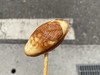 HoMing皓明
