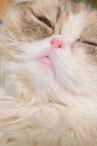 harunohi 草津温泉望雲 クーポン