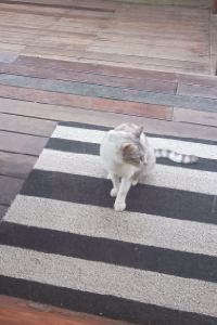 Som._. 北陸あわら温泉 美松 クーポン