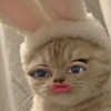 T_kk