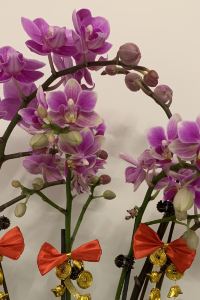 Sherryho ホテル松島大観荘 クーポン