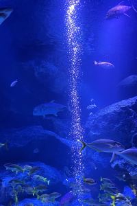 Ne_04 リブマックスリゾート 熱海 シーフロント クーポン