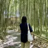 Avatar 2