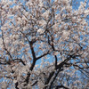 트래블구구