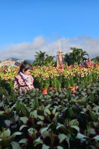 huynh nhu @168 屏東品喬旅店優惠