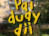 paiduaydii_
