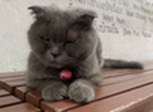 สายลมยามเย็น