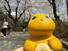 俊俏的成