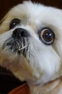 APWC 全季酒店（珠海人民西路店）優惠