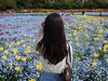 kkcam_trip