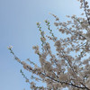 _fb***17