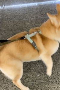 LINYU 奇異果快捷旅店（臺中站前二館）優惠