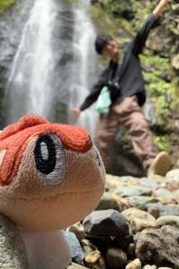 コスパ旅のひじき 鳥取ワシントンホテルプラザ クーポン