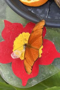 DonovannM 是隆中央飯店優惠