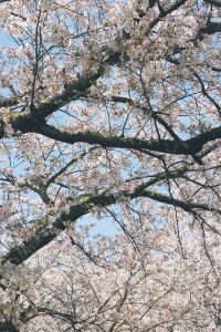 메룽 原鶴グランドスカイホテル クーポン