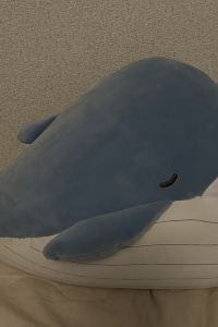 ゲスト 湯快リゾート 恵那峡温泉 恵那峡国際ホテル クーポン