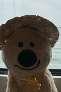 訪客 布魯塞爾中央枕頭市酒店優惠