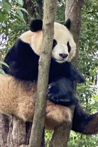 明王不動 西鉄グランドホテル クーポン