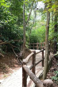 yiphs 南投日月潭湖景度假旅店優惠