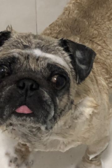 ThomasToTo 兵衛向陽閣 クーポン