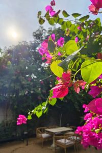 venus客旅 花蓮海傳民宿優惠