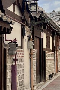 Lisa_Traver 台東門廷若室·河堤左岸館優惠