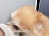 なるせ