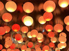 Moya Kwong