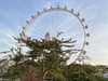 YANYANtravel