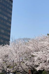 Iris TPE 盛岡站前 里士滿飯店優惠