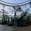 cgr_wrld
