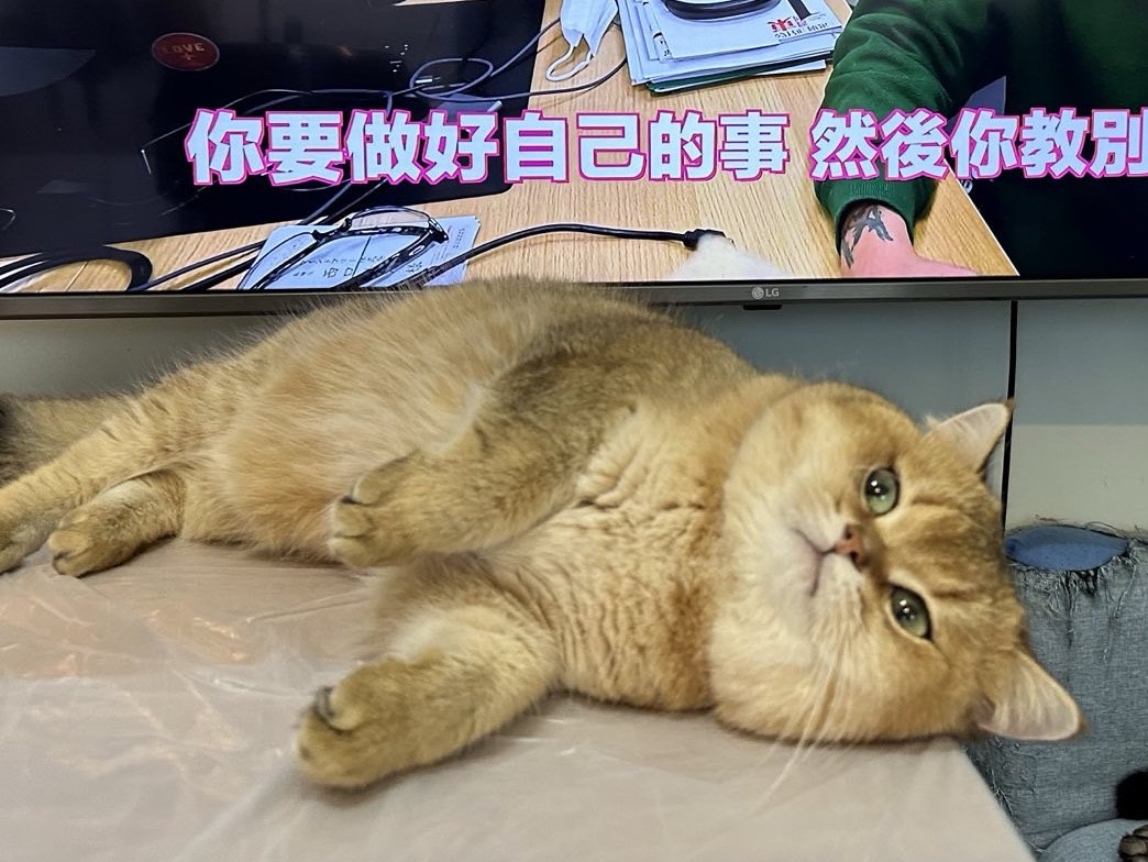 大熊家族