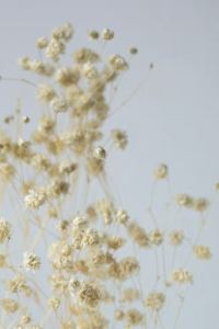 丫大頭 明古連30酒店優惠