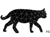ito 8