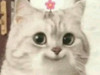 tweee