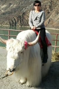 愛遊日控 東急STAY新宿東區優惠