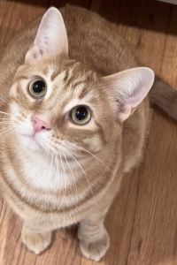 ..cu 城市酒店優惠