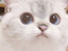 뽀삐0_0