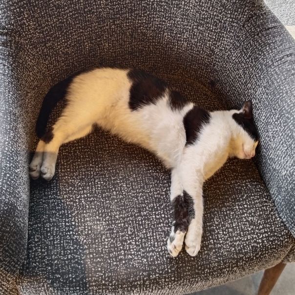 Trip.com user